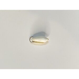 Real Shell Cream Necklace Pendant or Charm